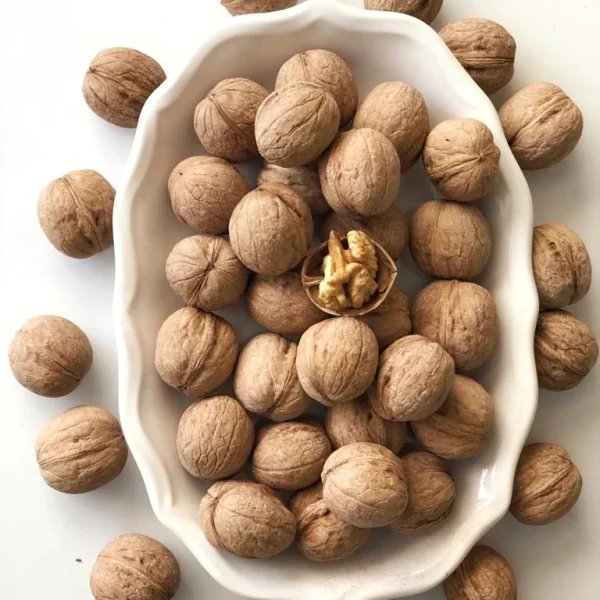 Hekimhan Cevizi (İnce Kabuklu)