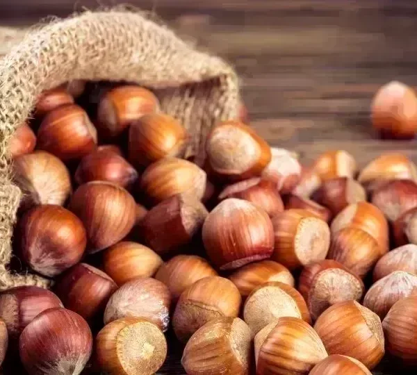 Giresun'un taze, çıtır kabuklu fındık! %100 doğal, yüksek E vitamini ve sağlıklı yağ kaynağı. Enerji dolu ve lezzetli atıştırmalık. Hemen sepetine ekle!